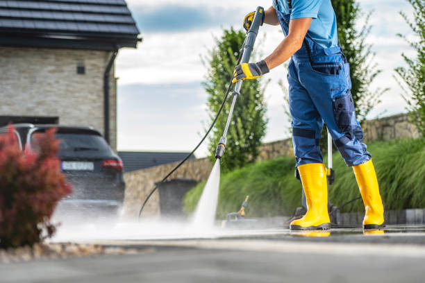 Best Animal Enclosure Cleaning  in Taunton, MA